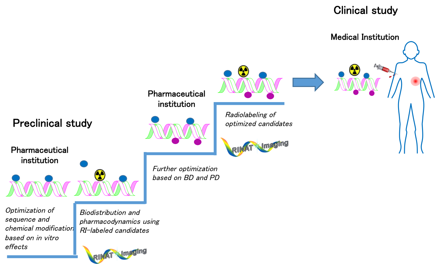 Business｜RINAT Imaging SiteSelective Radiolabeling of Nucleic Acids